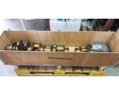 23502165-FP Crankshaft Assy.